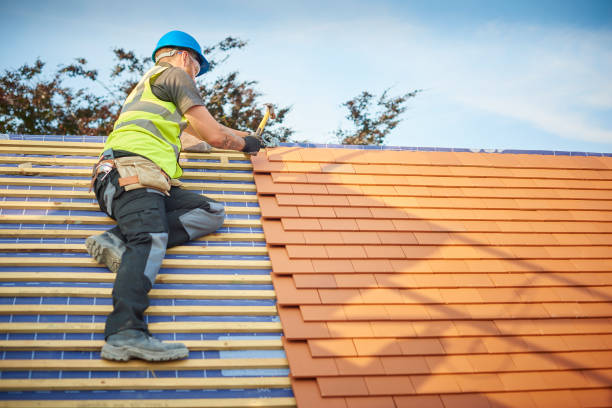 Best Roof Insulation Installation  in Lombard, IL